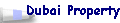 Dubai Property