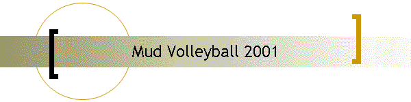 Mud Volleyball 2001