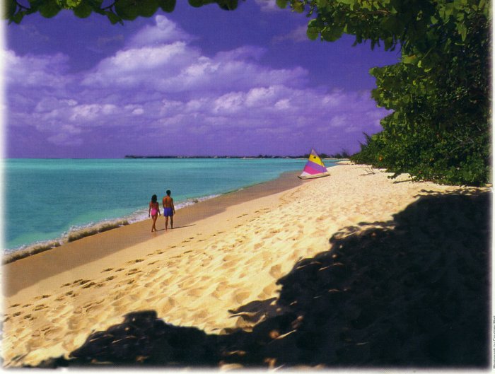 anita and jack walking on the cayman beach.jpg (71767 bytes)