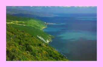 jamaican coastline.jpg (14170 bytes)