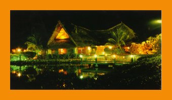 jamaican night spot.jpg (14601 bytes)