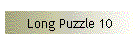 Long Puzzle 10