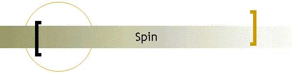 Spin