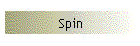 Spin