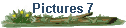 Pictures 7