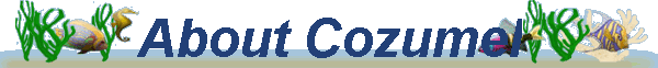 About Cozumel