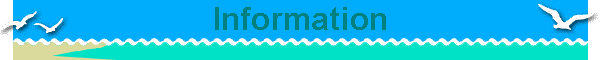 Information