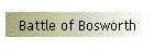 Battle of Bosworth
