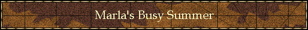 Marla's Busy Summer